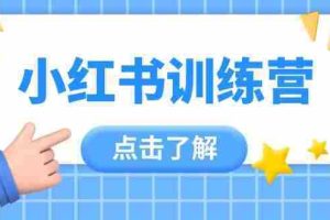 （14545期）小红书训练营，助小白入门，掌握技巧变达人，课程实操又全面（12节课）