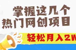 (14539期)掌握这几个热门项目，轻松月入2w+