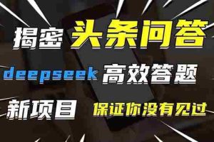 （14480期）头条问答，刚出的新玩法！保证你没见过！用DeepSeek去高效答题，一个账…