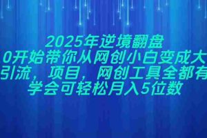 （14473期）2025年逆境翻盘，从0开始带你从网创小白变成大佬，引流，项目，网创工…