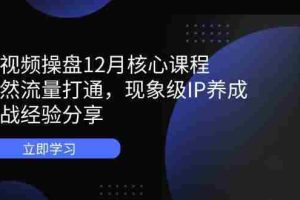 （14447期）短视频操盘12月核心课程：自然流量打通，现象级IP养成，实战经验分享