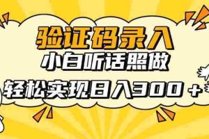 （14408期）信息录入项目，10秒一单，新手小白听话照做快速上手，实现日入300＋