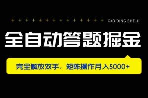 （14337期）全自动答题掘金，完全解放双手，矩阵操作月入5000+