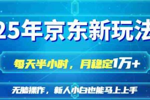 （14309期）25京东新玩法，每天半小时，月稳定1W+
