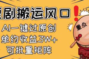 （14282期）2025短剧搬运风口！复制粘贴AI一键过原创，单月收益3W+，新手可矩阵放…