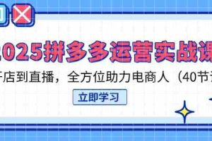 （14259期）2025拼多多运营实战课，从开店到直播，全方位助力电商人（40节课）