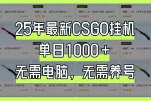 （14178期）25年最新CSGO挂机系统，单日1000+，无需电脑，无需养号，0基础可上手