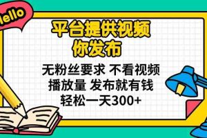 （14171期）平台提供视频 你发布 无粉丝要求 不看视频播放量 发布就有钱 轻松一天300+
