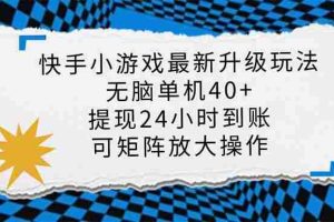 （14166期）快手小游戏最新版升级玩法，新风口，无脑单机日入40+，可批量放大，小…