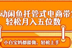 （14132期）全自动闲鱼托管式电商带货 轻松实现月入五位数