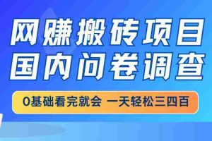 （14578期）网赚搬砖项目，国内问卷调查，0基础看完就会 一天轻松三四百，靠谱副业…