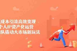 （14555期）低成本引流高效变现，个人IP资产化运营，小团队撬动大市场新玩法