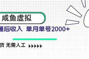 （14552期）咸鱼虚拟资料 自动发货 无需人工 单月单号2000+