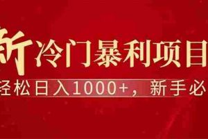 （14495期）全新项目，每天被动收益1000+，长期管道收益！