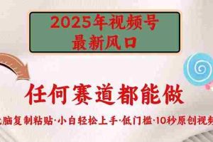 （14453期）2025年视频号新风口，低门槛只需要无脑执行