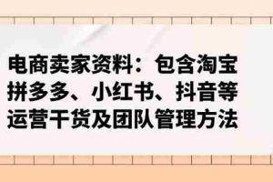 （14354期）电商卖家资料：包含淘宝、拼多多、小红书、抖音等运营干货及团队管理方法
