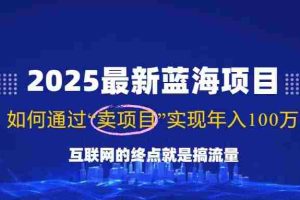 （14305期）2025最新蓝海项目，零门槛轻松复制，月入10万+，新手也能操作！