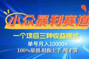 （14300期）【灵狐计划】视频号最新爆火赛道，三种收益模式，0粉新号条条热门原创…