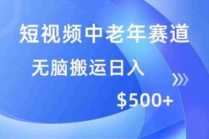 （14254期）短视频中老年赛道，操作简单，多平台收益，无脑搬运日入500+