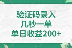 （14221期）验证码录入，几秒一单，单日收益200+