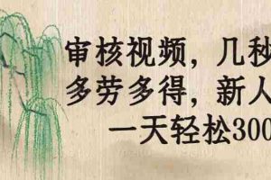 （14202期）审核视频，几秒一单，多劳多得，新人小白一天轻松300+