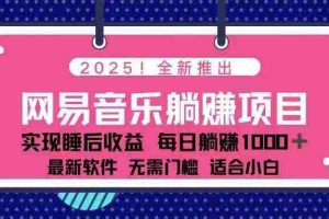 （14185期）2025最新网易云躺赚项目 每天几分钟 轻松3万+