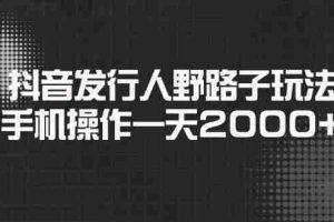 （14068期）抖音发行人野路子玩法，手机操作一天2000+