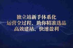 （13914期）独立站新手体系化 运营全过程，助你精准选品、高效建站、快速盈利