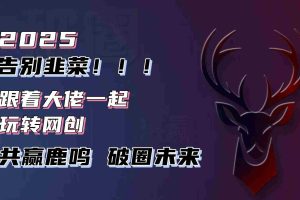 （13896期）告别韭菜！2025知识付费风口项目，小白也能闭眼操作！