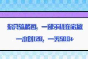 （13785期）你只管截图，一部手机在家做，一小时120，一天500+