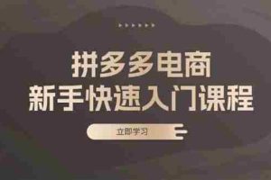 （13289期）拼多多电商新手快速入门课程：涵盖基础、实战与选款，助力小白轻松上手