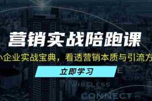 （13146期）营销实战陪跑课：中小企业实战宝典，看透营销本质与引流方法论