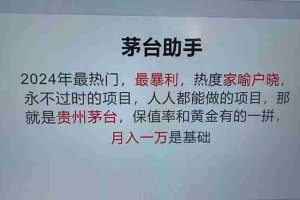 （13051期）魔法贵州茅台代理，永不淘汰的项目，抛开传统玩法，使用科技，命中率极…