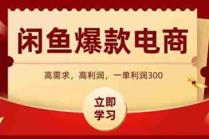 （15422期）闲鱼高利润电商，入门到出单只需3小时，每天利润1000+
