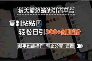 （15428期）被大家忽略的引流平台，复制粘贴轻松日引300+创业粉，新手也能操作，禁…