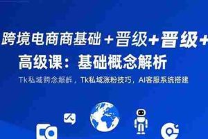 （15496期）跨境电商基础+晋级+高级课：基础概念解析,Tk私域涨粉技巧,AI客服系统搭建