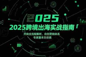 （15503期）2025跨境出海实战指南，并购全流程解析，自创营销体系，专家基本功训练