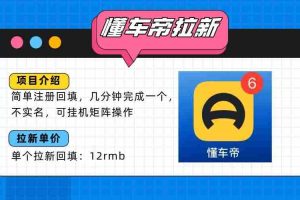 （15661期）懂车帝邪修拉新玩法，简单注册回填，不sm，单个拉新12rmb，轻松日入200+