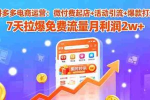 （15960期）拼多多电商运营：微付费起店+活动引流+爆款打造 7天拉爆免费流量月利润2w+