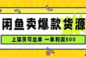 （15977期）闲鱼卖爆款货源，每天利润1000，上架即出单