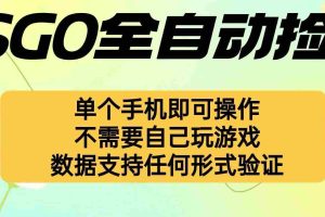 （16207期）自动挂机捡漏，不用自己挂机不用玩游戏，一个手机即可操作。新手小白轻…