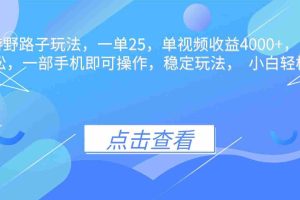 （16446期）抖音手游野路子玩法，一单25，单视频收益4000+，日入几千轻轻松松，一…
