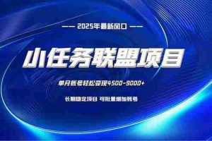 （16521期）小任务联盟项目：一台电脑每天只需10分钟，轻松简单稳定