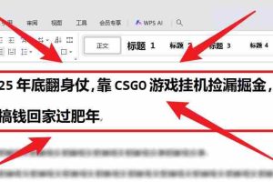 （16533期）25年底翻身仗，靠CSGO游戏挂机捡漏掘金，搞钱回家过肥年