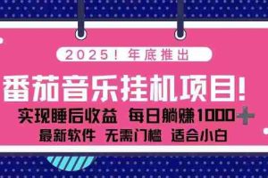 （16835期）全新平台，蓝海时期！2025年年底番茄音乐挂机项目，每天几分钟，月入1000＋，可矩阵