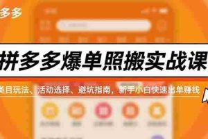 (16838期)拼多多爆单照搬实战课,类目玩法、活动选择、避坑指南,新手小白快速出单赚钱