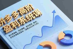 (16843期)拼多多高阶盈利系统课,强付费策略、活动爆破、首页推荐,实现店铺稳定盈利(更新12月)