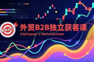 (16856期)外贸B2B独立获客课,Facebook主页搭建、消息互动广告、精准定位,打造高询盘系统
