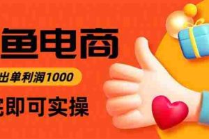 (16872期)闲鱼高利润电商,当天上架当天出单,一单利润300