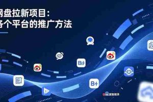 （16971期）网盘拉新项目：各个平台的推广方法，公众号、截留玩法，微博，B站，百度智能体